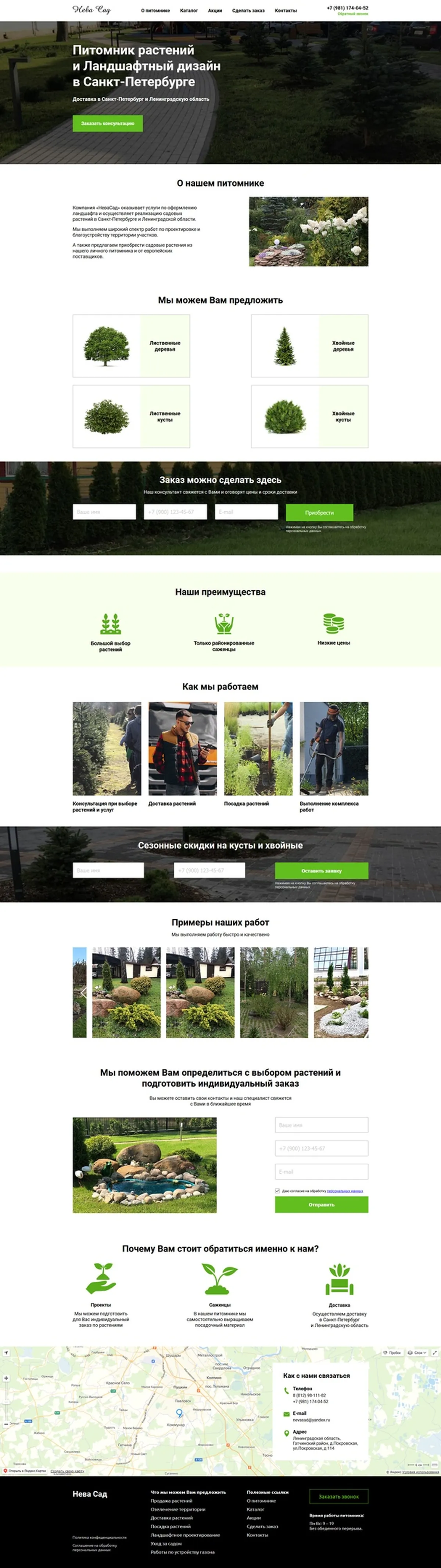 Этапы работы питомника Нева Сад